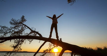 sundown scene with a man rising the hands with a successful pose over a laying tree.