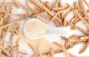 Mastering Wellness with Ashwagandha: Your Ultimate Guide to Adaptogens