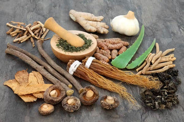 a bunch of natural adaptogenic herbs on a table organized wisely