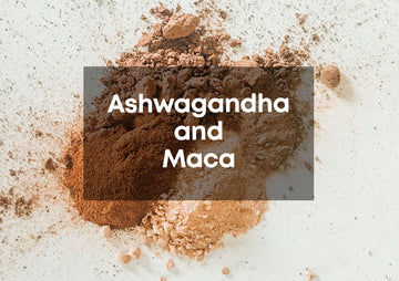 ashwagandha and maca root powders