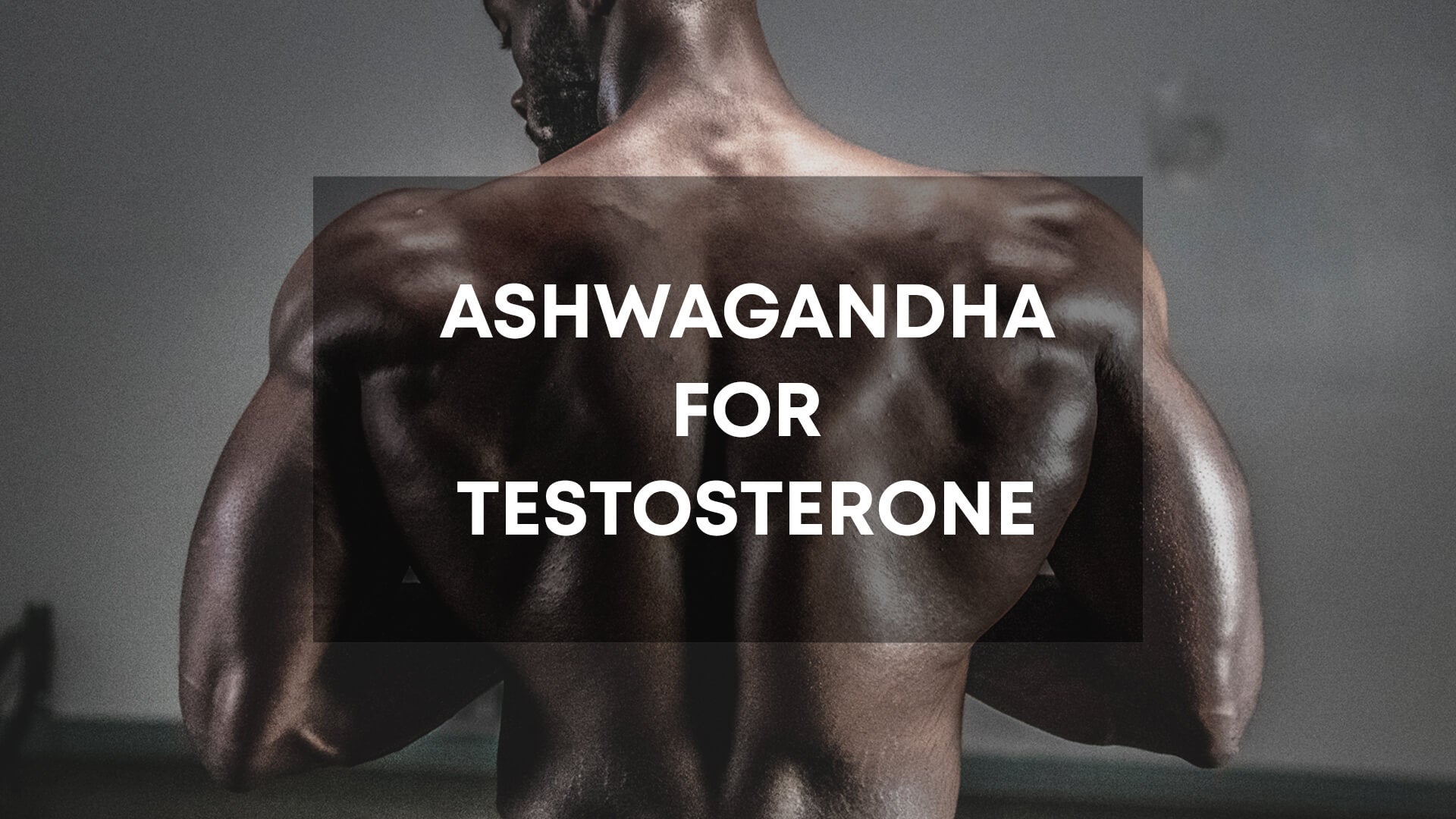 Ashwagandha for testosterone