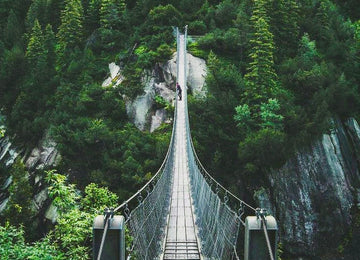 big pedestrian bridge over nature with a man seeing the magnificent view.