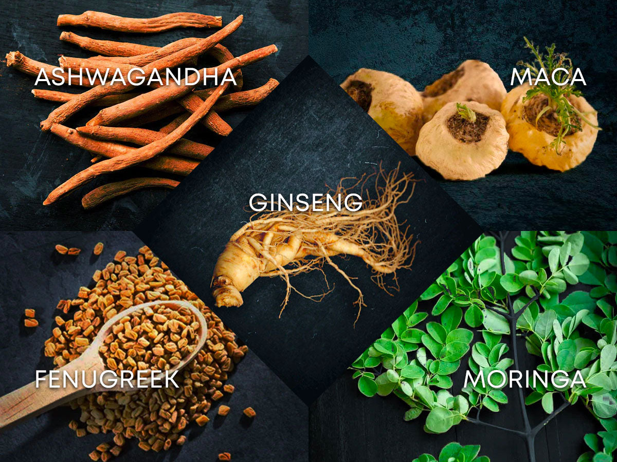 The Top 5 Adaptogens for Optimal Health, Ginseng, Ashwagandha, maca, fenugreek and moringa