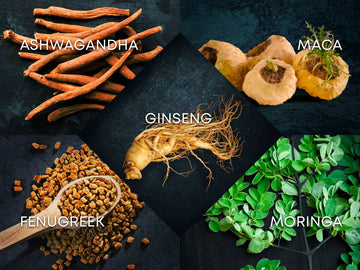  Top 10 Best Adaptogenic Herbs for Optimal Health. Ginseng, Ashwagandha and maca root, fenugreek, moringa and shilajit